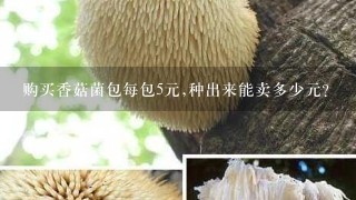 购买香菇菌包每包5元,种出来能卖多少元?