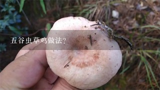 5谷虫草鸡做法？