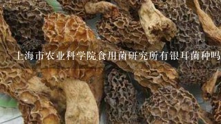 上海市农业科学院食用菌研究所有银耳菌种吗