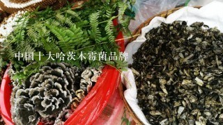 中国十大哈茨木霉菌品牌