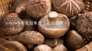 coach山茶花包染色了怎么清理