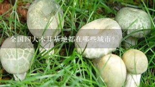 全国4大木耳基地都在哪些城市？