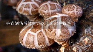 手背划伤后缝针，吃什么愈合得快