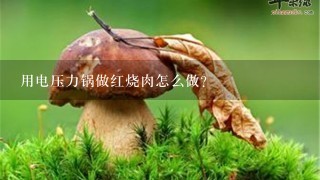 用电压力锅做红烧肉怎么做?