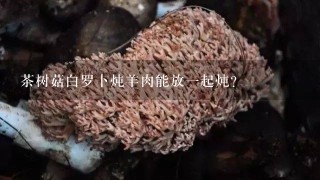 茶树菇白罗卜炖羊肉能放1起炖？