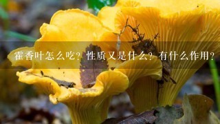 霍香叶怎么吃？性质又是什么？有什么作用？