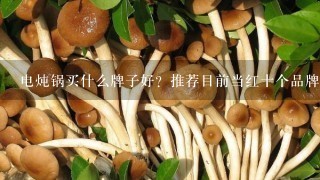 电炖锅买什么牌子好？推荐目前当红十个品牌