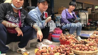 白术莲子、干墨鱼煲猪肚汤吃有害处吗?