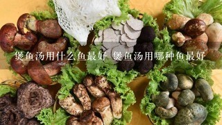 煲鱼汤用什么鱼最好 煲鱼汤用哪种鱼最好