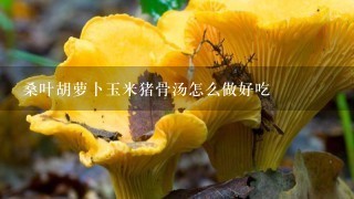 桑叶胡萝卜玉米猪骨汤怎么做好吃