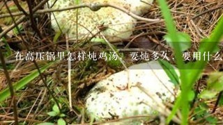 在高压锅里怎样炖鸡汤，要炖多久，要用什么火炖？⊙