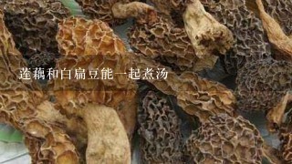 莲藕和白扁豆能1起煮汤