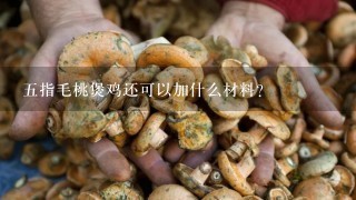 5指毛桃煲鸡还可以加什么材料？