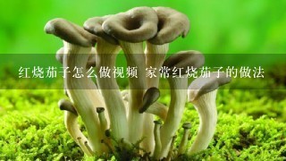 红烧茄子怎么做视频 家常红烧茄子的做法