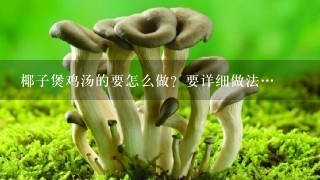 椰子煲鸡汤的要怎么做？要详细做法…