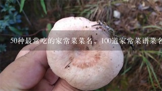 50种最常吃的家常菜菜名，100道家常菜谱菜名有什么