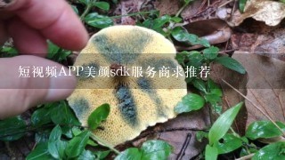 短视频APP美颜sdk服务商求推荐