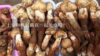 土豆和枞树菌在1起能吃吗？