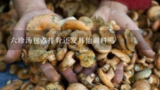 6珍汤包煮排骨还发其他调料吗