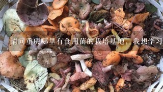 请问重庆哪里有食用菌的栽培基地，我想学习这个，但是不知道重庆哪里有？