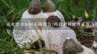 流火饮食如何正确调节?两款初秋健脾祛湿汤推荐