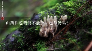 山药和莲藕能不能放1起熬汤喝？