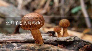 坐月子怎么炖鸡汤？