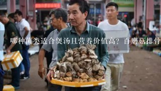 哪种菌类适合煲汤且营养价值高？百磨菇排骨汤