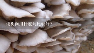 炖狗肉用什麽炖比较好？