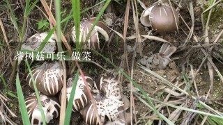 茶树菇可乐 做菜