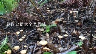 养胃食谱大全及做法