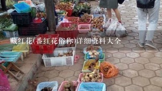 藏红花(番红花俗称)详细资料大全