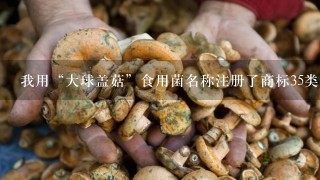 我用“大球盖菇”食用菌名称注册了商标35类，别人还用这个名称做广告宣传，是否属于侵权？