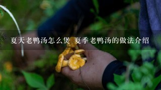 夏天老鸭汤怎么煲 夏季老鸭汤的做法介绍