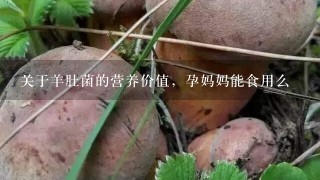 关于羊肚菌的营养价值，孕妈妈能食用么