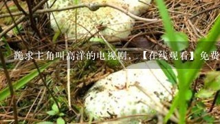 跪求主角叫高洋的电视剧，【在线观看】免费百度云资源