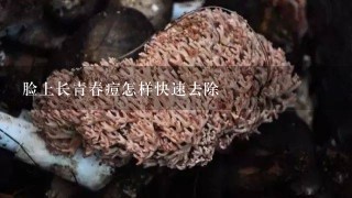 脸上长青春痘怎样快速去除