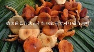 德国菌菇疗法还有细胞氧活素对肝癌有用吗？