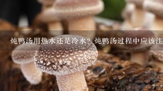 炖鸭汤用热水还是冷水？炖鸭汤过程中应该注意什么呢