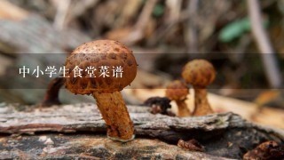 中小学生食堂菜谱