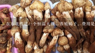 在东北搭建1个恒温大棚，养殖蝎子。费用是多少