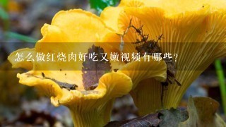 怎么做红烧肉好吃又嫩视频有哪些？