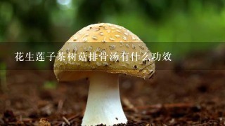 花生莲子茶树菇排骨汤有什么功效