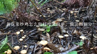 黄花菜炒鸡怎么做好吃又简单，做法图解分？