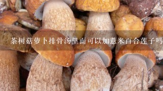 茶树菇萝卜排骨汤里面可以加薏米百合莲子吗