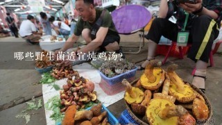 哪些野生菌适宜炖鸡汤？