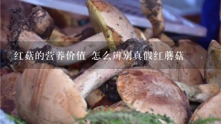 红菇的营养价值 怎么辨别真假红蘑菇