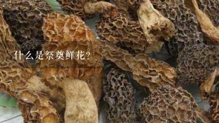 什么是祭奠鲜花？