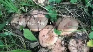 怎样才能1周之内瘦十斤