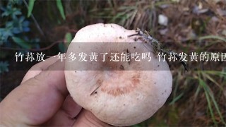 竹荪放1年多发黄了还能吃吗 竹荪发黄的原因及其保